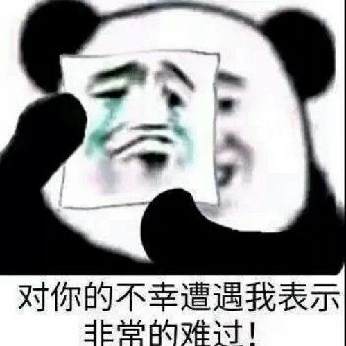 食神唐牛表情包,舌尖上的欢乐盛宴